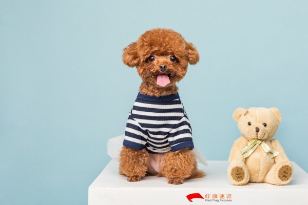 疫情期間香港商品如何轉(zhuǎn)運到湖北隨州呢？